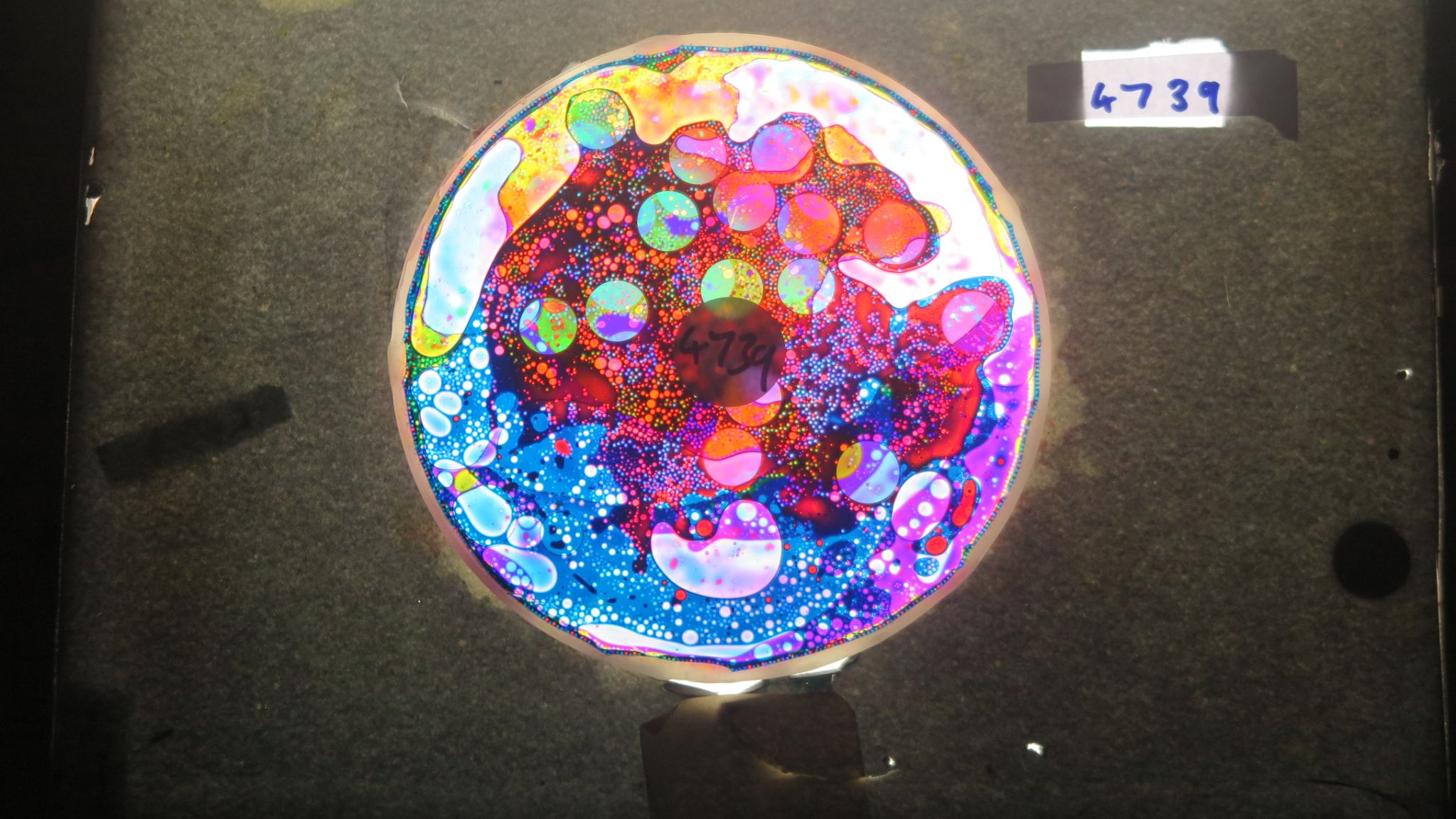 BV4739 bubble vision oil wheel